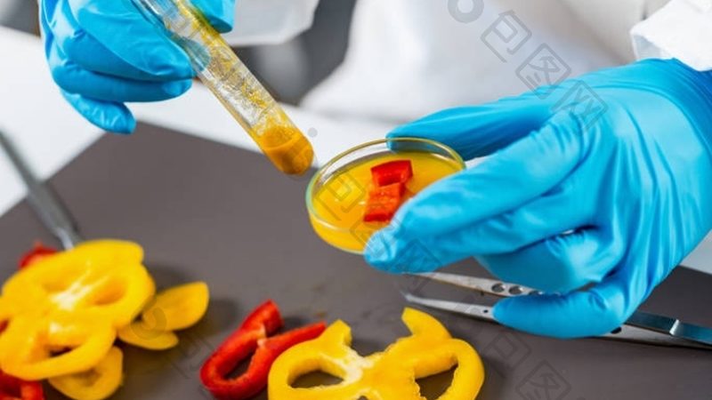 揭秘小型超市食品批发流程，掌握这几点轻松选好货